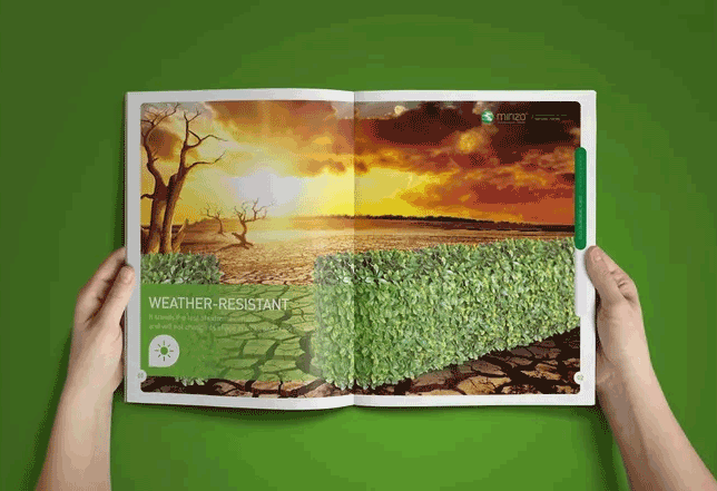 機械畫冊印刷過程中有哪些小創意？