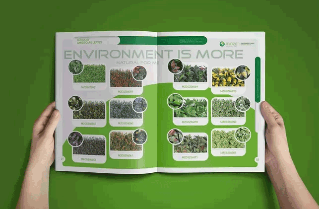 上海畫冊(cè)印刷產(chǎn)品有哪些主要特點(diǎn)