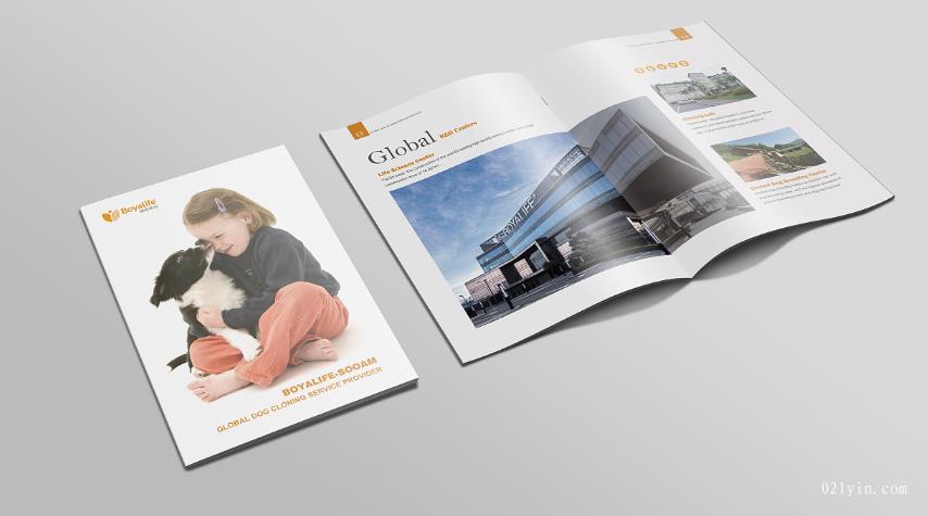 上海彩頁印刷時會碰到哪些常見問題? 第1張 上海彩頁印刷時會碰到哪些常見問題? 第1張