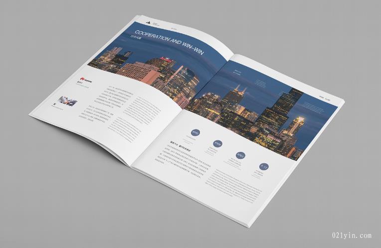 畫冊設(shè)計(jì)-企業(yè)刊物方向如何設(shè)計(jì)？  第2張