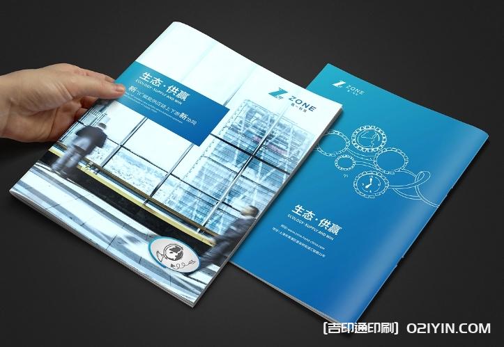 生態(tài)軟件IT供應(yīng)鏈畫(huà)冊(cè)設(shè)計(jì) 第3張 生態(tài)軟件IT供應(yīng)鏈畫(huà)冊(cè)設(shè)計(jì) 第3張