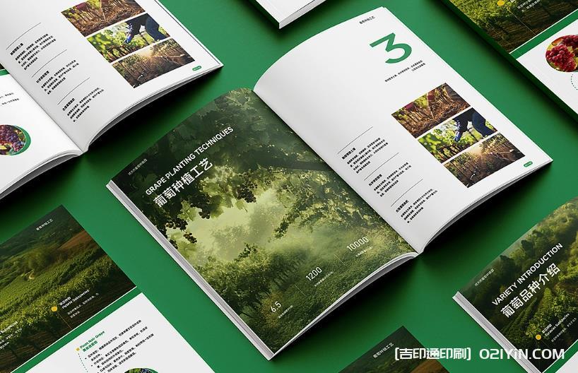 上海企業(yè)畫冊(cè)印刷專家：從設(shè)計(jì)到成品，一站式品質(zhì)服務(wù)