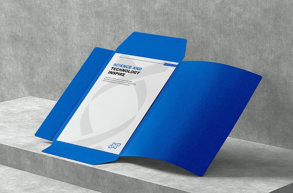 企業VI系統印刷 - 專業VI物料整體印刷制作解決方案 第2張 企業VI系統印刷 - 專業VI物料整體印刷制作解決方案 第2張